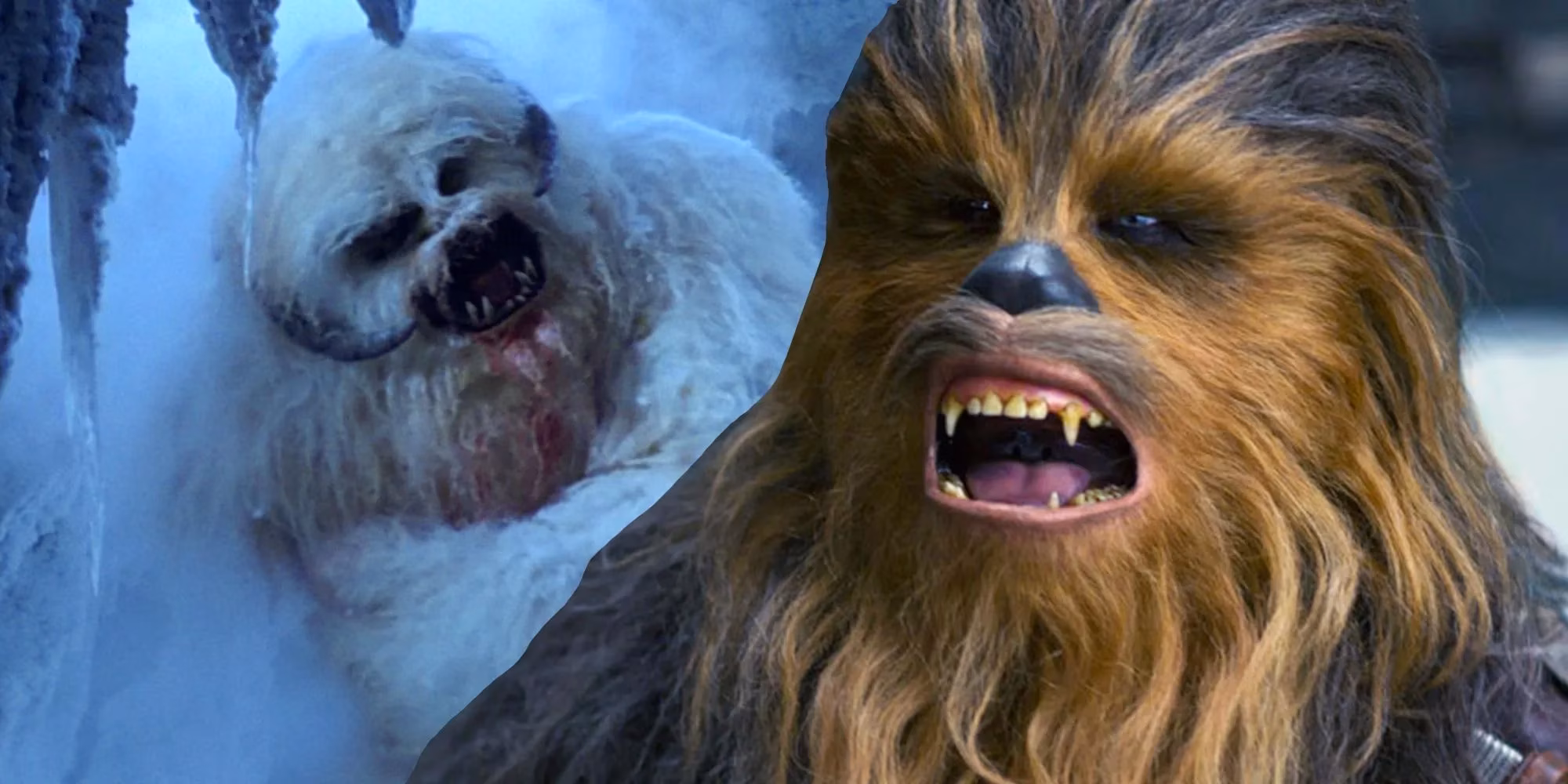 chewbacca-s-secret-wampa-brawl-on-hoth-an-epic-star-wars-tale-image-0